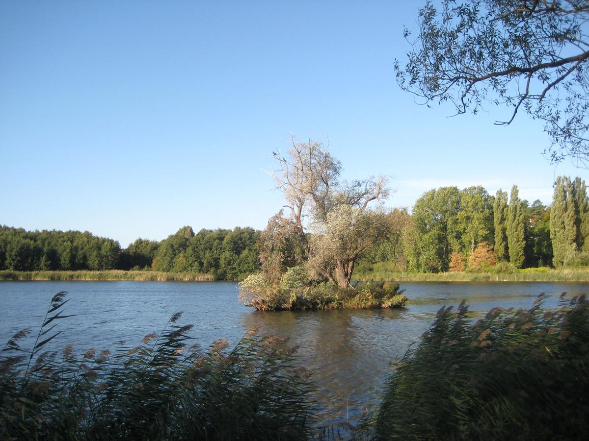 Ferienwohnung - Strandoase Heringsdorf  Bagian luar foto